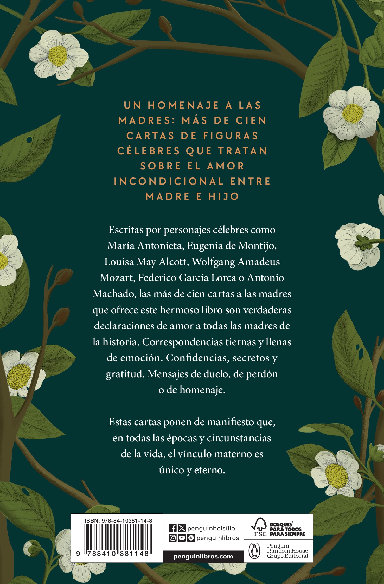 Cartas a la madre: Grandes figuras de la historia le expresan su amor a la persona más importante de su vida (Bolso) 2