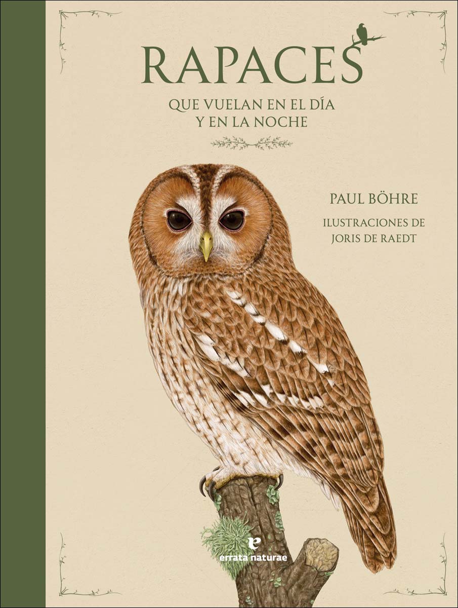 Rapaces que vuelan en el día y en la noche 1