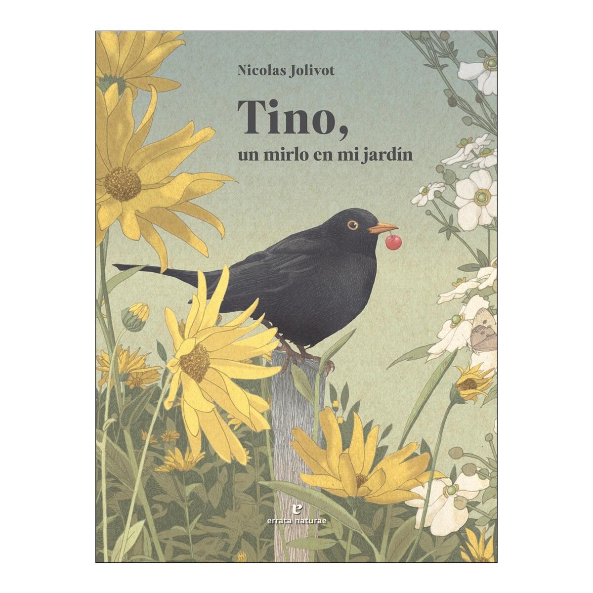 Tino, un mirlo en mi jardín 1