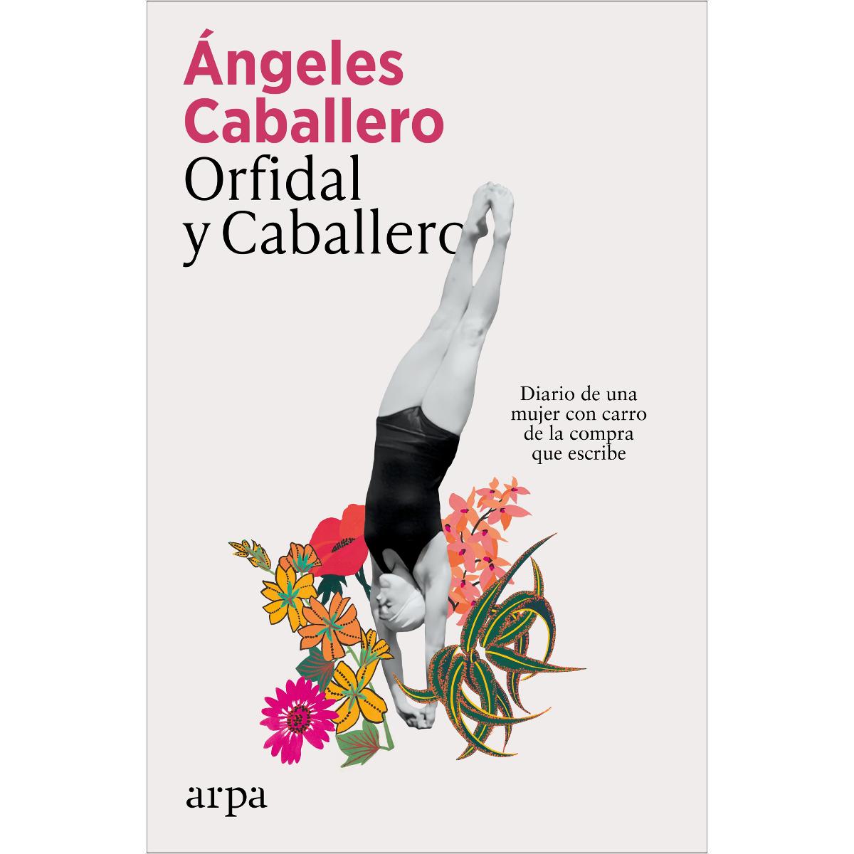 Imagem 0 de Orfidal y Caballero: Diario de una mujer con carro de la compra que escribe (Capa mole com abas)