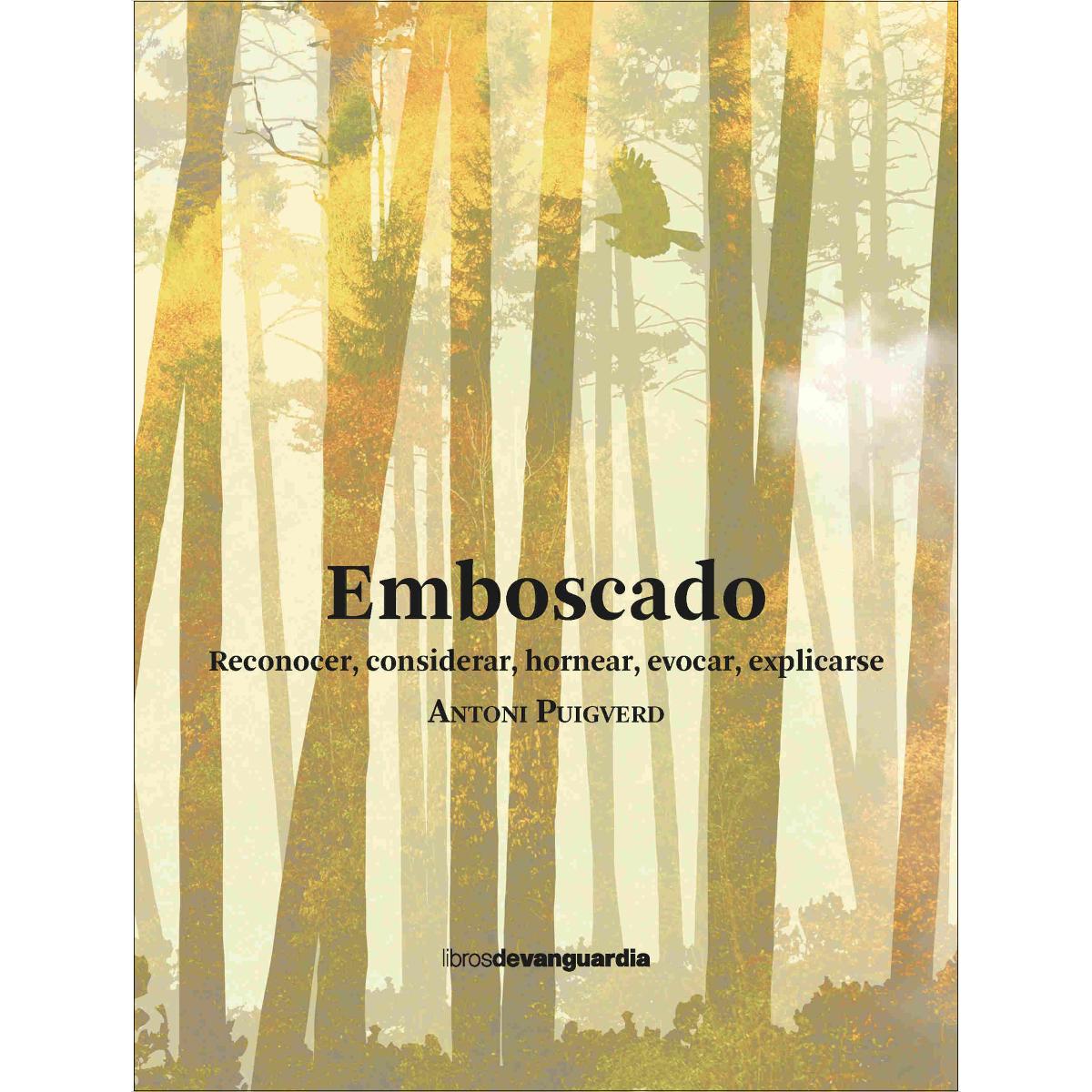 Imagem 0 de Emboscado: Reconocer, considerar, hornear, evocar, explicarse (Capa mole)