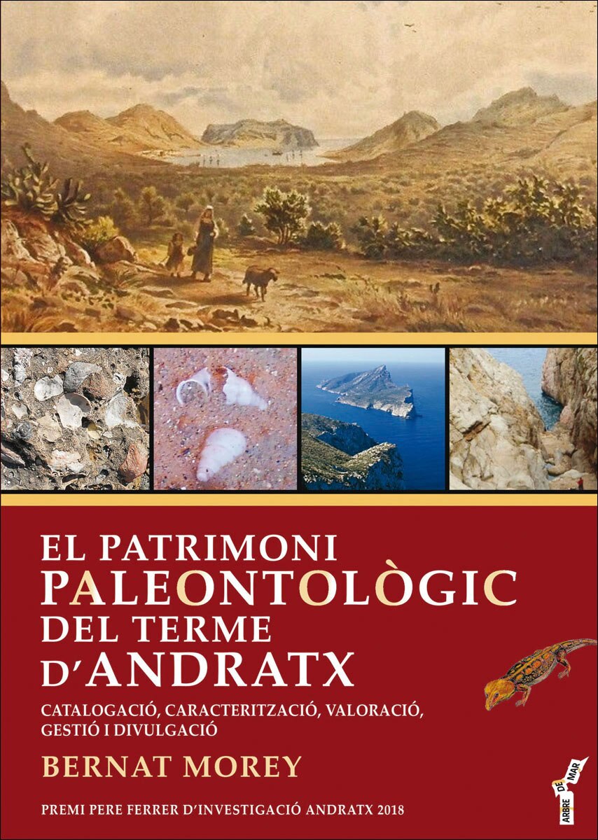 El patrimoni paleontològic del terme d&Andratx: Catalogació, caracterització, valoració, gestió i divulgació (Capa mole com abas) 1