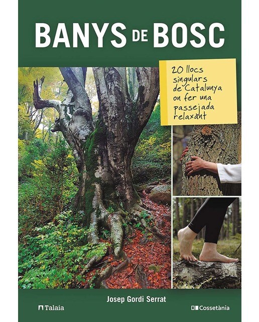 Banys de bosc: 20 llocs singulars de Catalunya on fer una passejada relaxant (Capa mole) 1