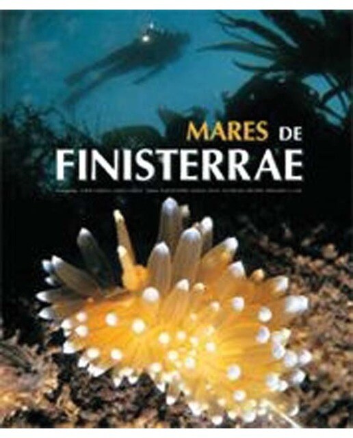 Mares de Finisterrae 1