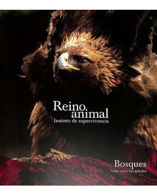 BOSQUES SE 1
