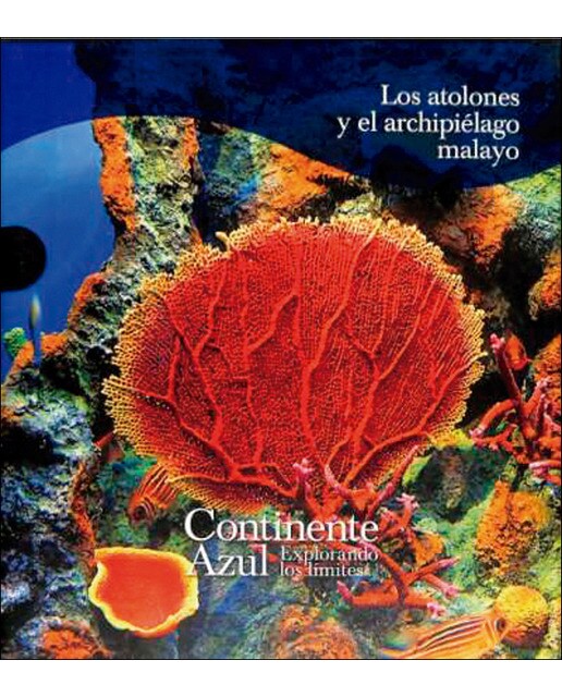 LOS ARRECIFES Y EL CARIBE 1