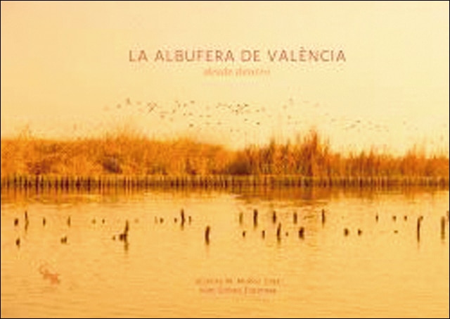 La albufera de València desde dentro 1