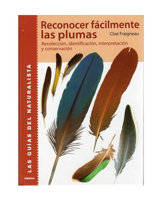 Reconocer Facilmente Las Plumas 1