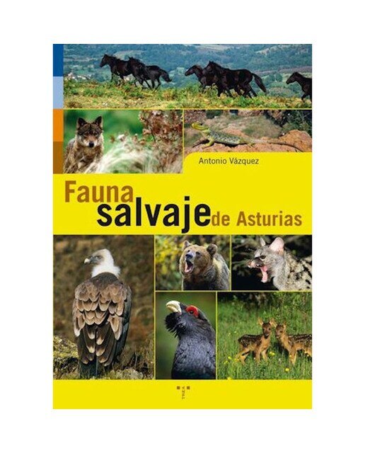 Imagen 1 de Fauna salvaje de Asturias (Tapa blanda)