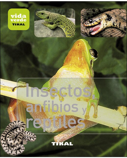 Insectos, anfibios y reptiles (Tapa blanda) 1