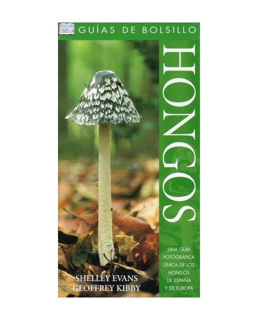 Hongos