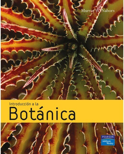 Imagen 0 de INTRODUCCIÓN A LA BOTÁNICA (Tapa blanda)