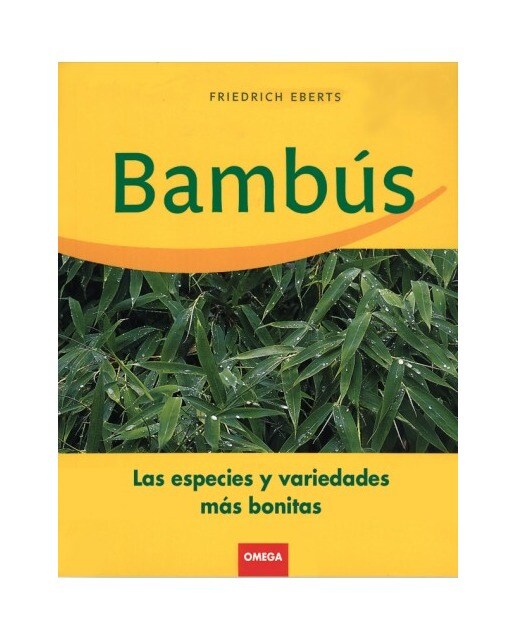 Bambus 1