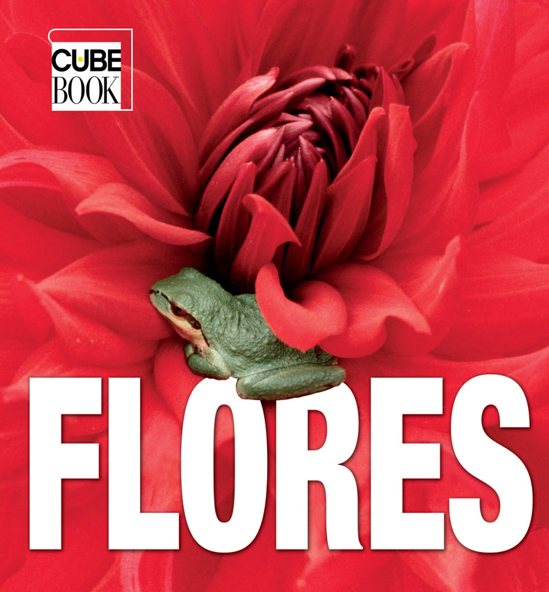Flores 1