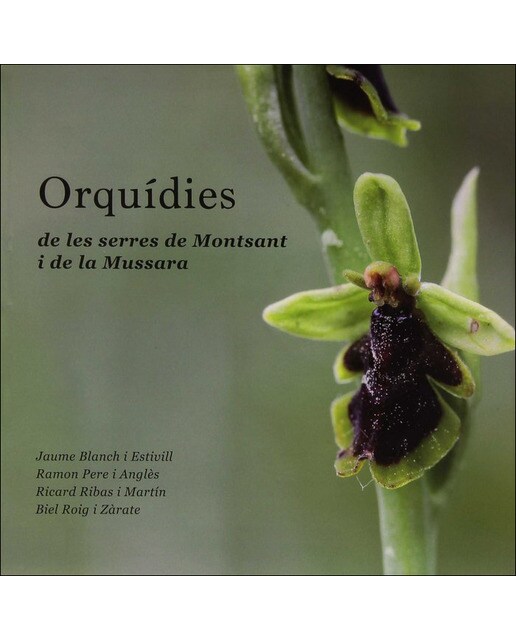 Orquídies de les serres de montsant i de la mussara 1