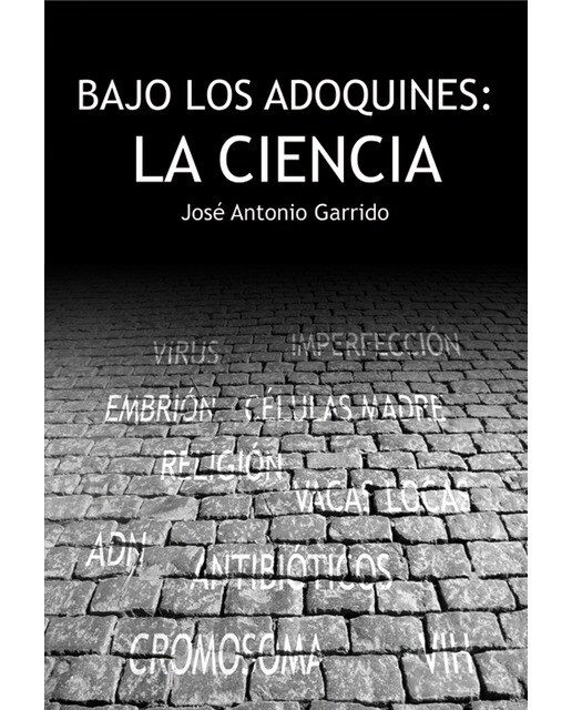 Imagem 0 de Bajo Los Adoquines La Ciencia