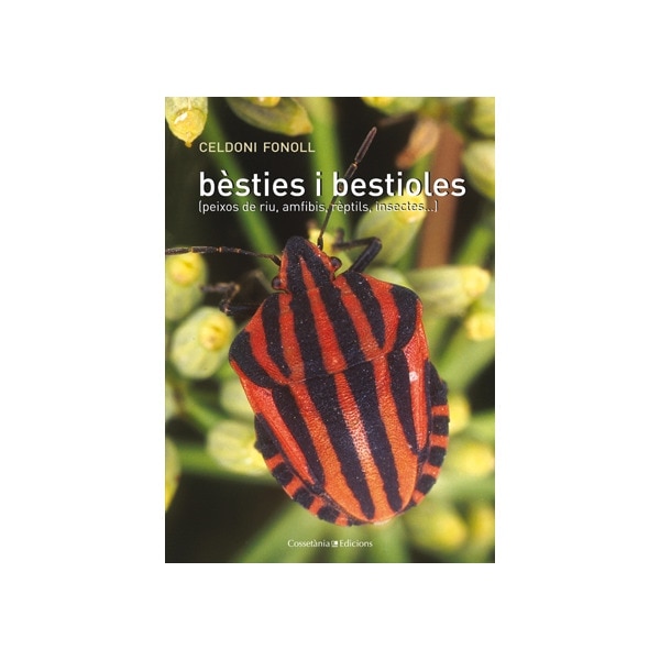 Bèsties i bestioles: (peixos de riu, amfibis, rèptils, insectes. )(Tapa blanda) 1
