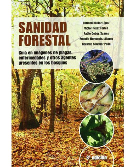Sanidad forestal (Capa dura) 1