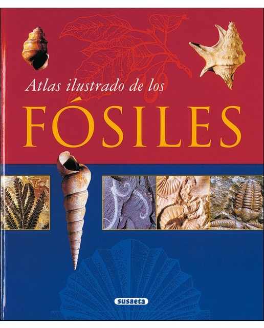 Fósiles(Tapa blanda) 1