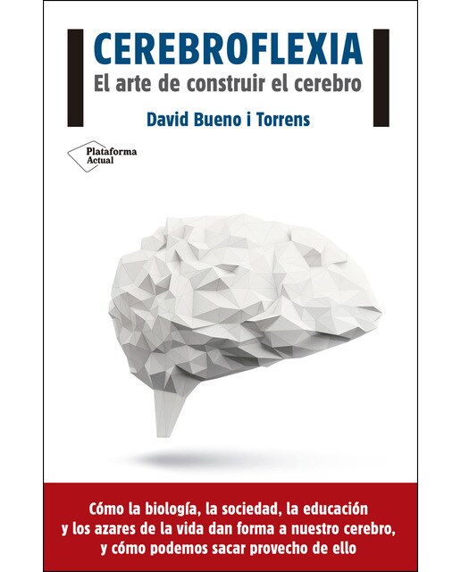 Imagem 0 de Cerebroflexia: El arte de construir el cerebro (Capa mole)