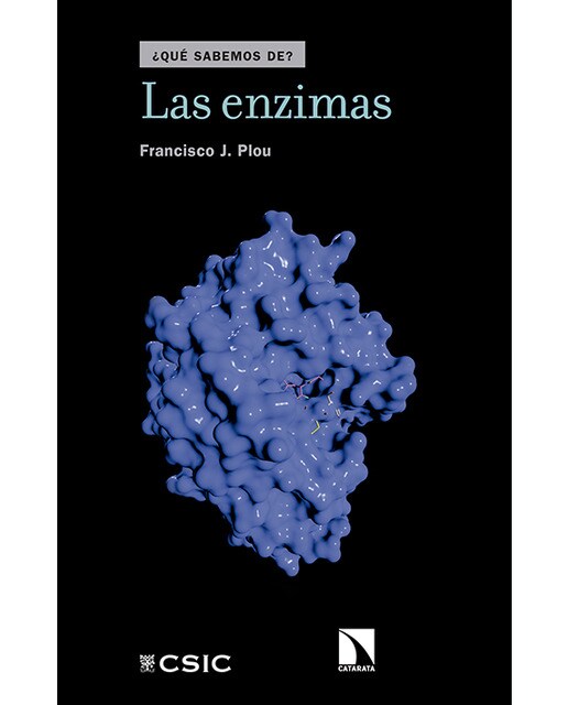 Las Enzimas 1