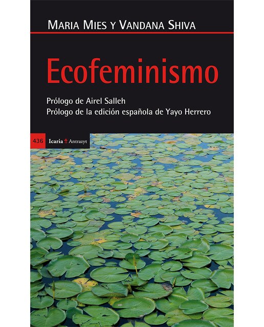 Imagem 0 de Ecofeminismo: Prólogo de airel salleh - prólogo a la edición española de yayo herrero