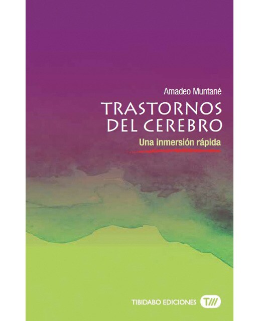 Trastornos del cerebro: Una inmersión rápida(Tapa blanda) 1