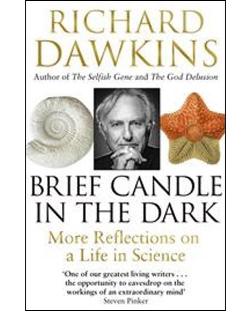 Brief Candle In The Dark 1