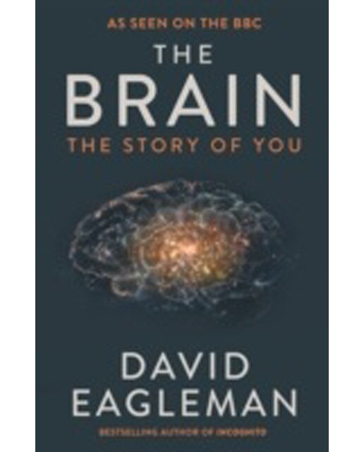 The Brain 1