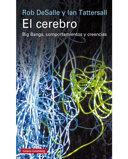 El cerebro: Big bangs, comportamientos y creencias(Tapa blanda) 1
