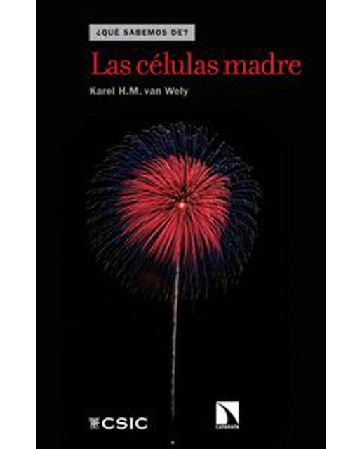 Las Células Madre 1