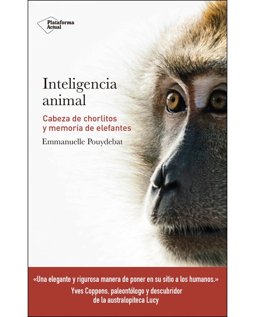 Inteligencia Animal: Cabeza De Chorlitos Y Memoria De Elefantes 1