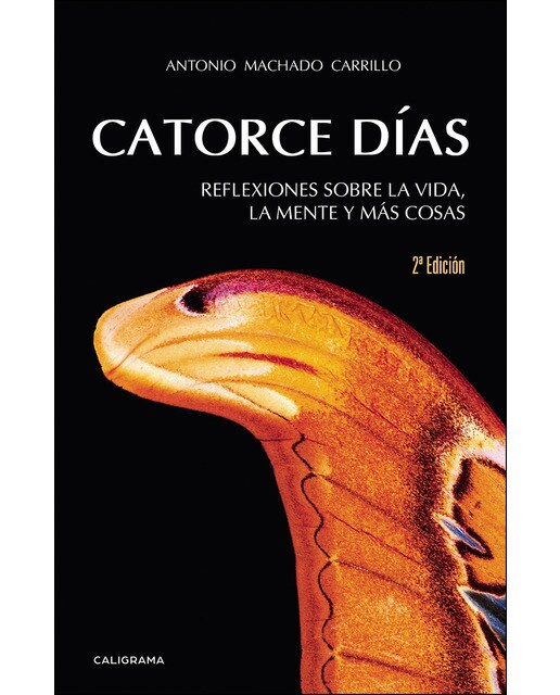 Catorce días: Reflexiones sobre la vida, la mente y más cosas(Tapa blanda) 1