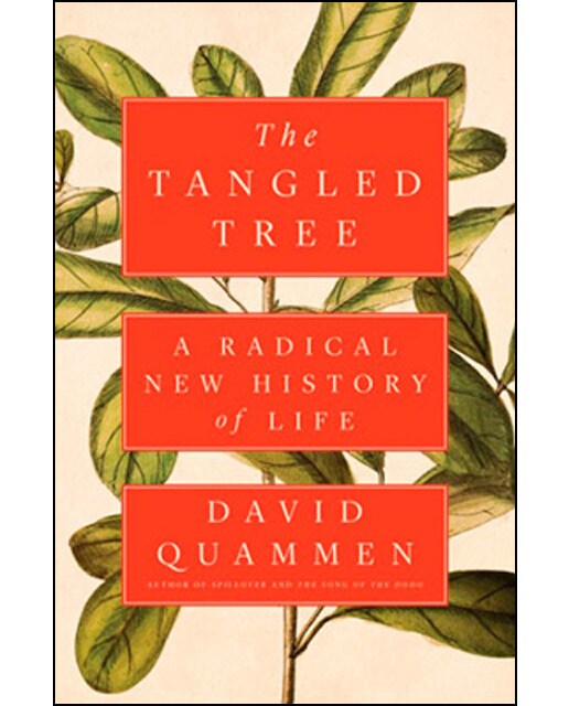 Tangled Tree 1