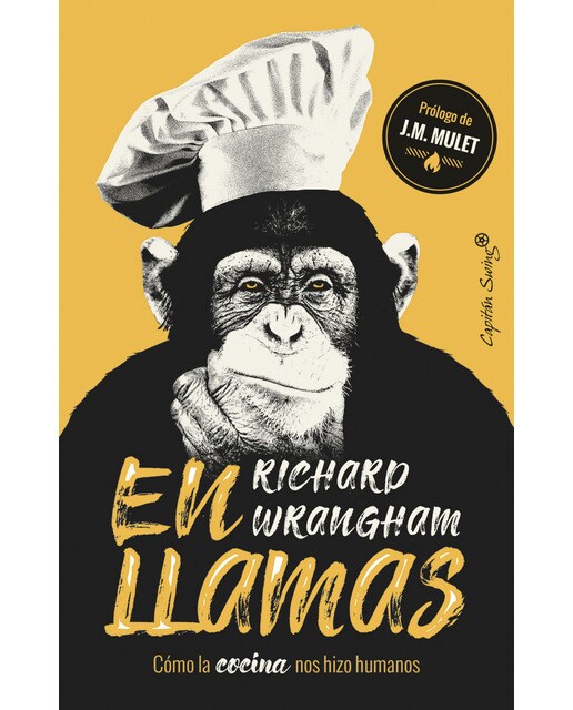 En llamas(Tapa blanda) 1