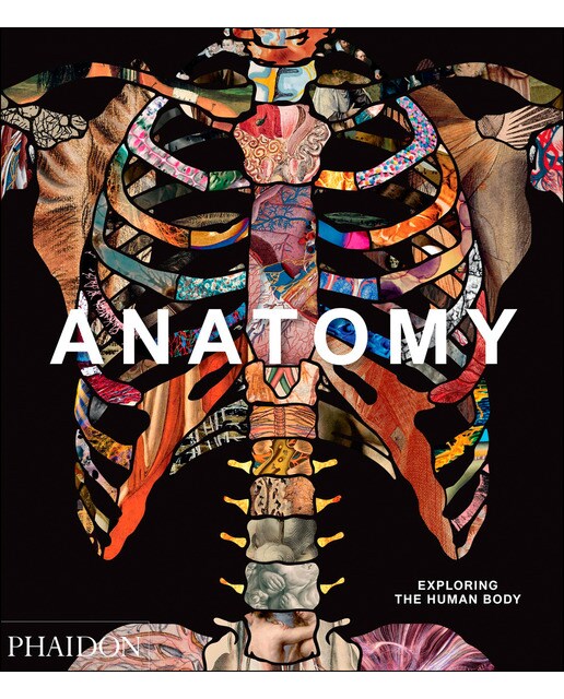 Imagem 0 de Anatomy: exploring the human body