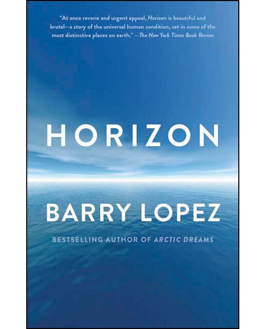 Horizon 1