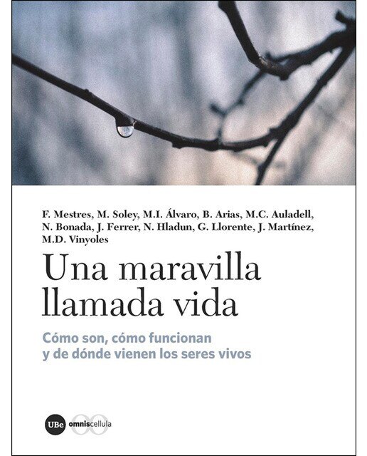 Una maravilla llamada vida: Cómo son, cómo funcionan y de dónde provienen los seres vivos(Tapa blanda) 1