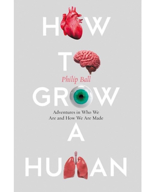 How to grow a human 1