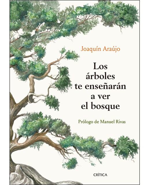 Los árboles te enseñarán a ver el bosque: Prólogo de Manuel Rivas 1