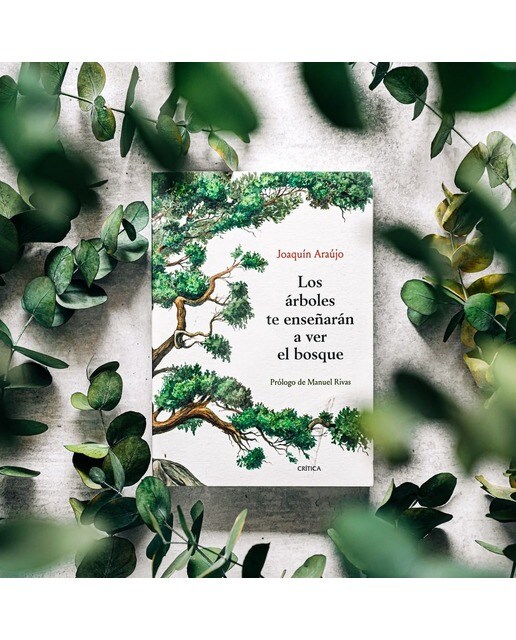Los árboles te enseñarán a ver el bosque: Prólogo de Manuel Rivas 2