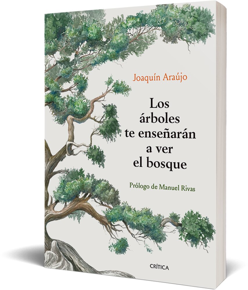 Los árboles te enseñarán a ver el bosque: Prólogo de Manuel Rivas 3