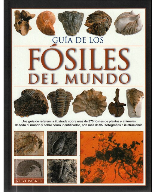 Guia de los fosiles del mundo(Tapa blanda) 1