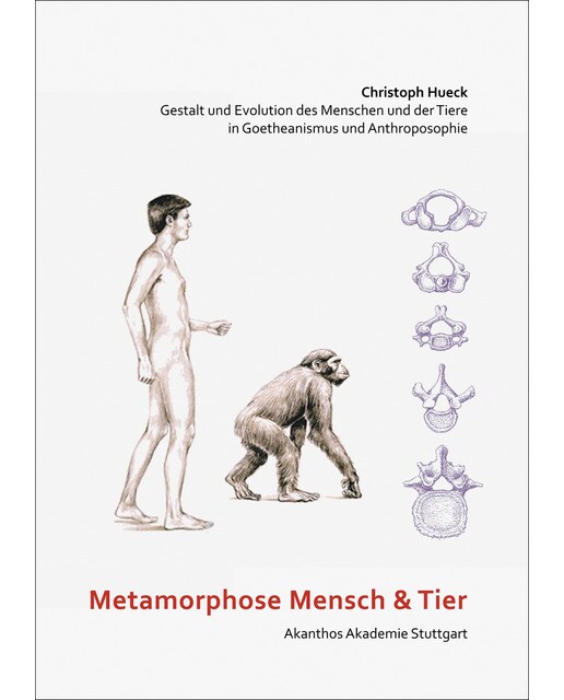 Metamorphose Mensch und Tier 1