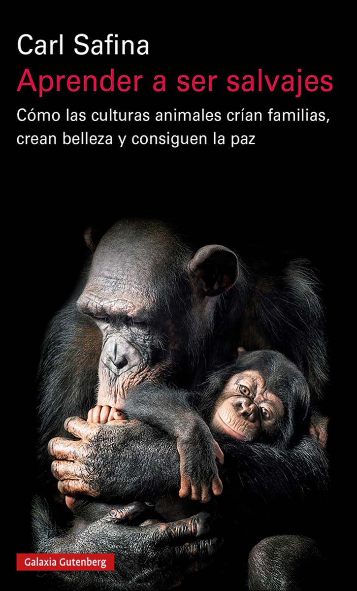 Aprender a ser salvajes 1