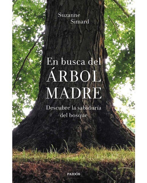 En busca del Árbol Madre: Descubre la sabiduría del bosque (Capa mole) 1