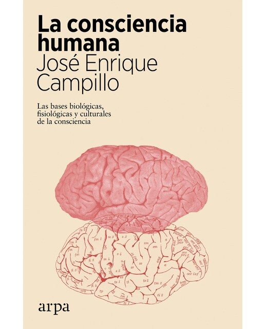 La consciencia humana 1