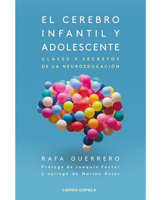 Imagem 0 de El cerebro infantil y adolescente