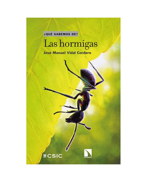 Las hormigas(Tapa blanda) 1