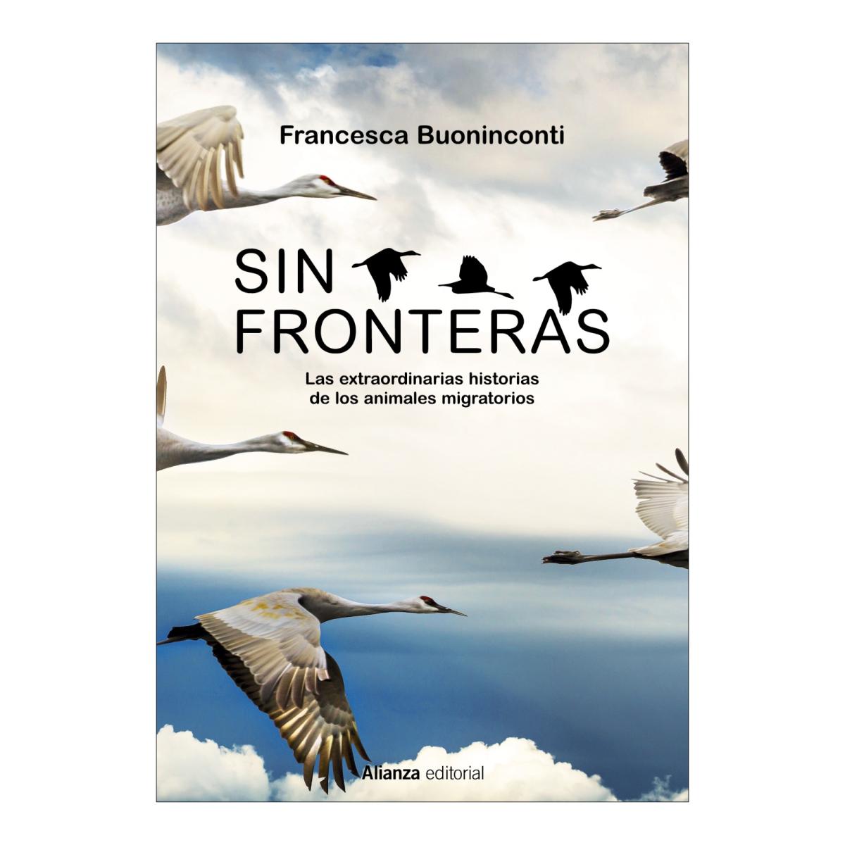 Sin fronteras 1